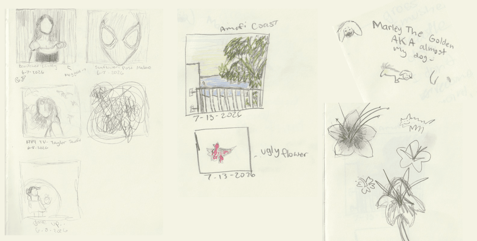 sketches