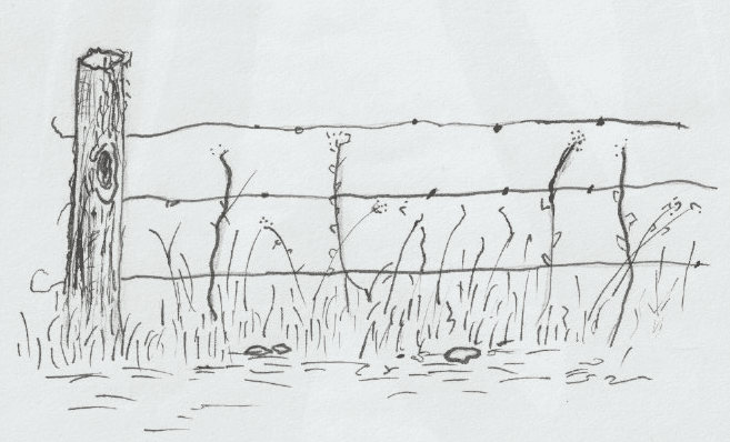 Fence