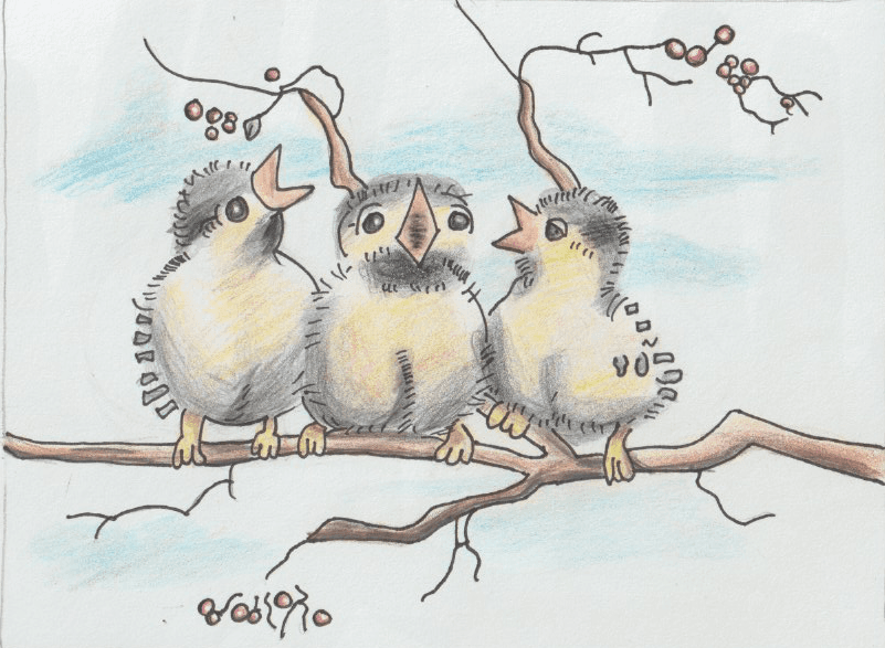 Birds
